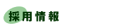 �̗p���