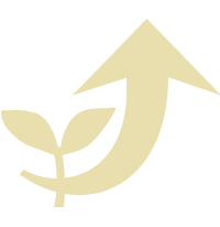 投資